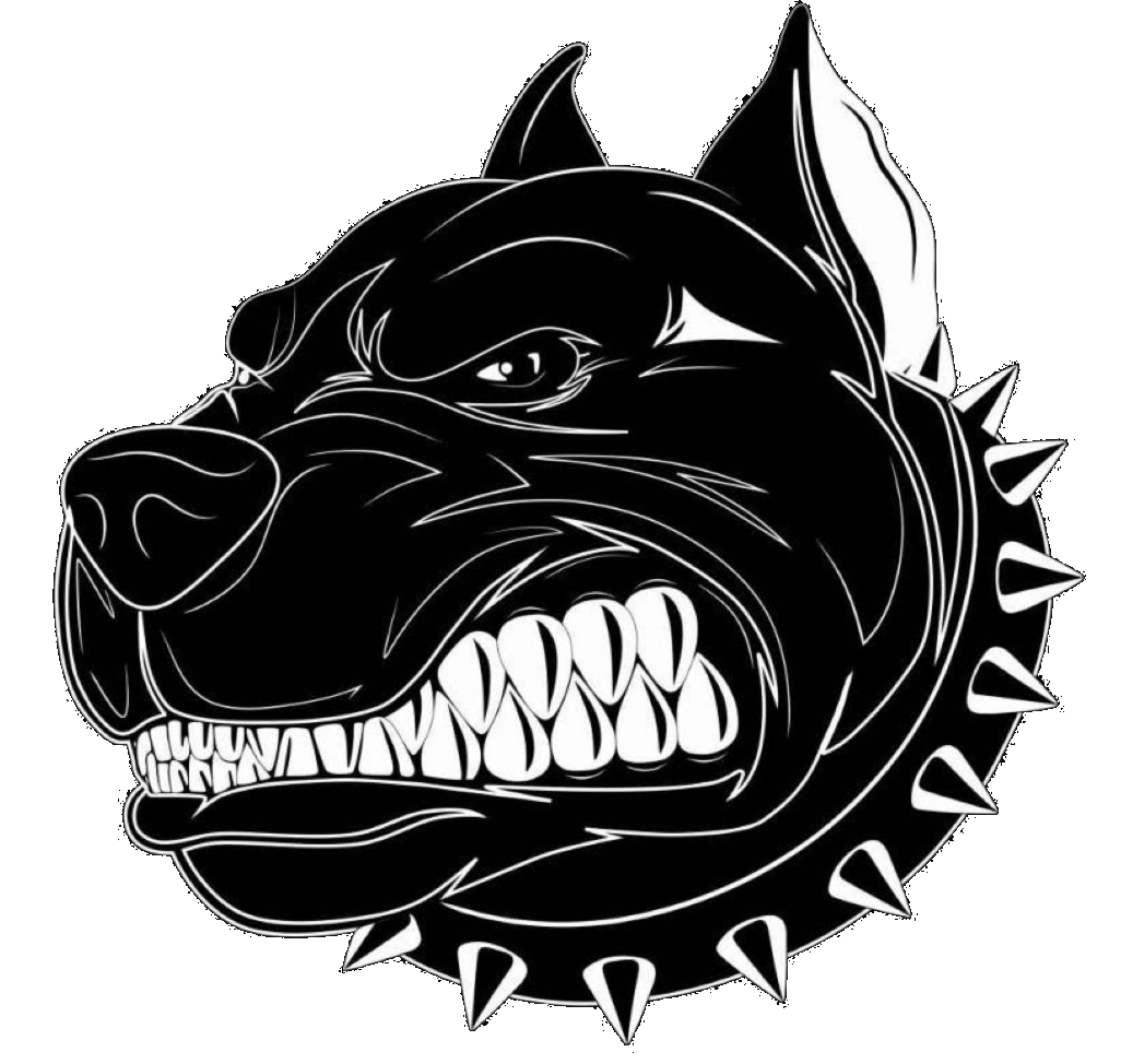 Логотип PitBull Boxing Київ